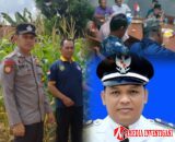 Mengenal Dekat Desa Karya maju Kecamatan Belitang 3 