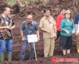 Penanaman Jagung Manis Di Desa Lauru Fadoro Wakil ketua DPRD Nias Utara Turut Hadir