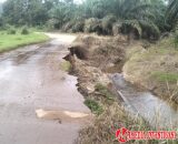 Bukik Lantak Menuju Timpeh Terancam Putus, Begini Jawaban Plt PUPR Dharmasraya