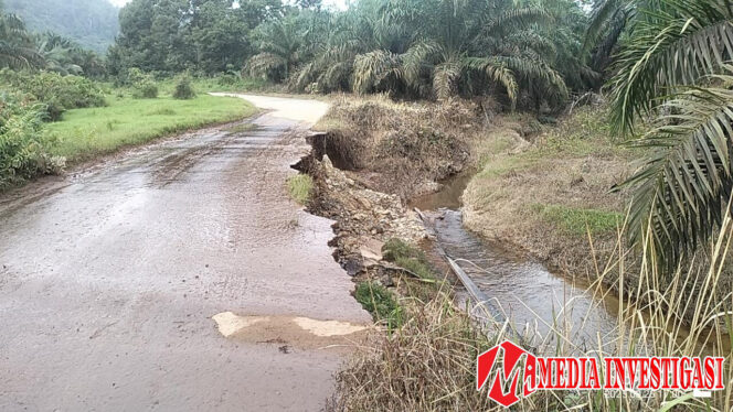 
					Bukik Lantak Menuju Timpeh Terancam Putus, Begini Jawaban Plt PUPR Dharmasraya