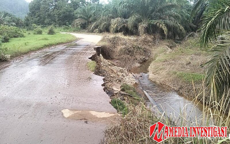 Bukik Lantak Menuju Timpeh Terancam Putus, Begini Jawaban Plt PUPR Dharmasraya