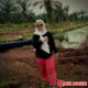 Camat Diduga Tutup Mata, Lahan Desa di Kuasai Perusahaan