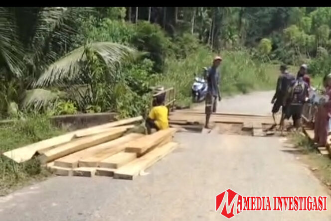 
					Warga Pulau Anjolai Swadaya Perbaiki Jembatan Lapuk, Bupati Anisa Pilih Tutup Mata