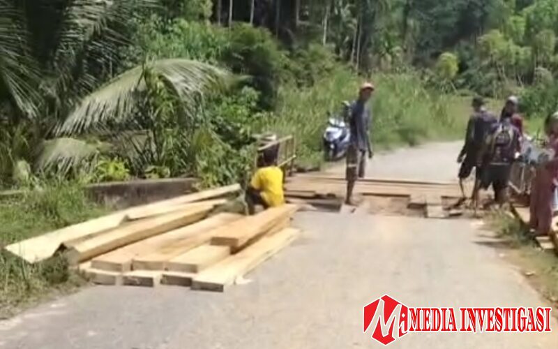 Warga Pulau Anjolai Swadaya Perbaiki Jembatan Lapuk, Bupati Anisa Pilih Tutup Mata