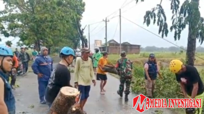 
					Babinsa Bantu Pembersihan Pohon Tumbang Akibat Hujan Deras dan Angin Kencang