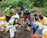 Satgas TMMD Kodim 1505/Tidore Bersama Warga Gotong Royong Ambil Material Pasir untuk Pembangunan Lapangan Bola Voli