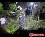 Babinsa Sertu Budi Utomo Sigap Tangani Pohon Tumbang, Akses Warga Simo Kembali Normal