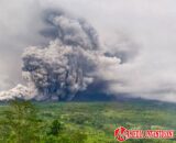 Gunung Semeru di Jawa Timur Erupsi, Awan Panas Meluncur 7 Km: Warga Diminta Waspada!
