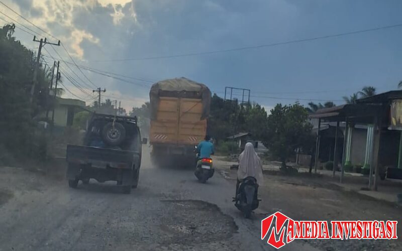Truk Tronton Overload Asal Tebo Diduga Jadi Penyumbang Kerusakan Terbesar di Ruas Simalidu–Koto Baru, Warga Resah dan Pertanyakan Penegakan Hukum