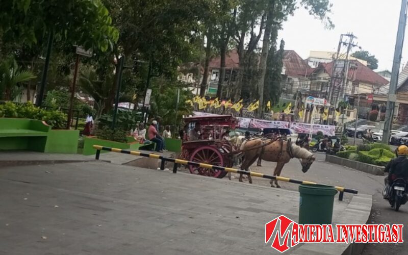 Bendi Bukittinggi Mulai Sepi Penumpang, Kusir Bertahan Demi Lestarikan Tradisi