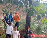 BNPB Sentil Kepala Daerah Terkait Mitigasi Bencana: Jangan Salahkan Hujan, Tata Ruang Kacau Itu Masalah Sebenarnya