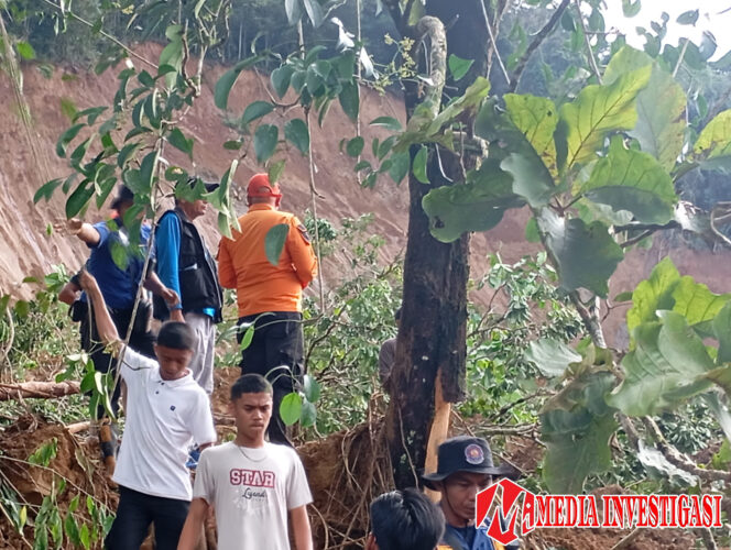 
					Tim gabungan—mulai dari BPBD, Basarnas, TNI/Polri, relawan bersatu padu menangani dampak bencana di Pasaman Barat, Sumatera Barat. Foto: Mediainvestigasi.net