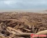 Pantai Parkit Berubah Menjadi Kuburan Sampah: Penanganan Lambat, Warga Pertanyakan Respons Pemerintah