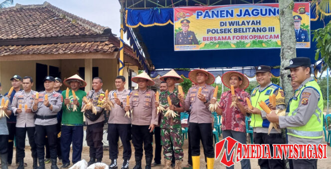 
					Panen jagung kuartal 4 bersama Polsek belitang 3 dan forkopimcam didesa karya makmur