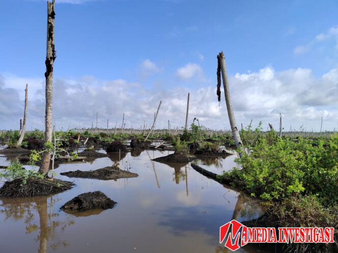 
					BDPN: Pemerintah Daerah Harus Bertindak, Banjir Rob Kini Mengancam Ekonomi dan Infrastruktur Pesisir