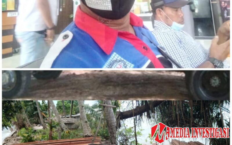 Ketua LAMI Kepri Minta Instansi yang terkait jangan tutup mata Tangkap para pengusaha ilegal kayu