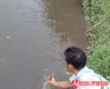 Air Sungai Batang Suir Mendadak Hitam, Warga Dharmasraya Duga Limbah PT TKA
