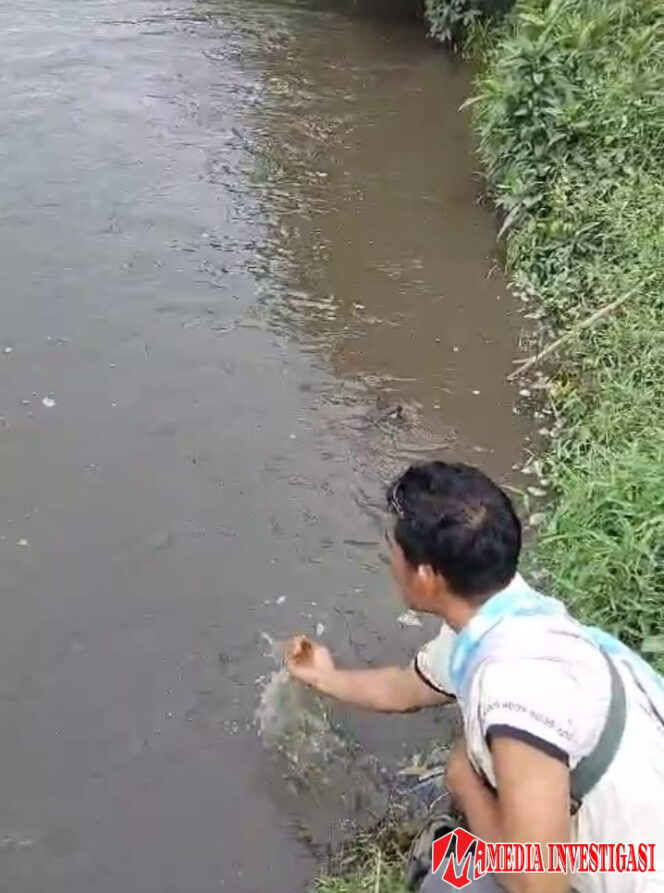 
					Air Sungai Batang Suir Mendadak Hitam, Warga Dharmasraya Duga Limbah PT TKA