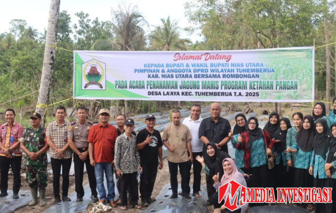 
					Bupati Nias Utara bersama anggota DPRD Turut Hadir Tanam Jagung Di Lahan Ketapang Desa La’aya Kec. Tuhemberua