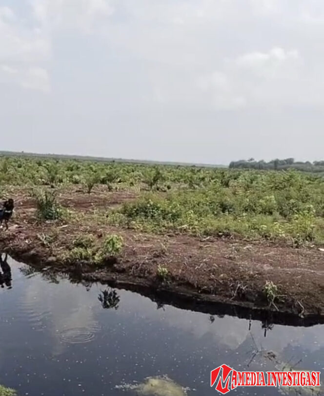 
					Diduga PT GIN dan Koperasi Rindang Benua Kongkalingkong Alihkan Lahan Masyarakat