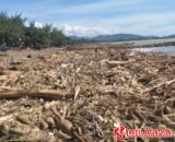 Tumpukan kayu gelondongan memenuhi bibir Pantai Parkit di Kelurahan Air Tawar Barat, Kecamatan Padang Utara, Kota Padang, Provinsi Sumatera Barat