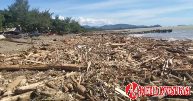 
					Tumpukan kayu gelondongan memenuhi bibir Pantai Parkit di Kelurahan Air Tawar Barat, Kecamatan Padang Utara, Kota Padang, Provinsi Sumatera Barat