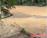 Ketika Air Berubah Hitam: Cerita dari Bantaran Sungai Koto Balai di Dharmasraya Sumatera Barat