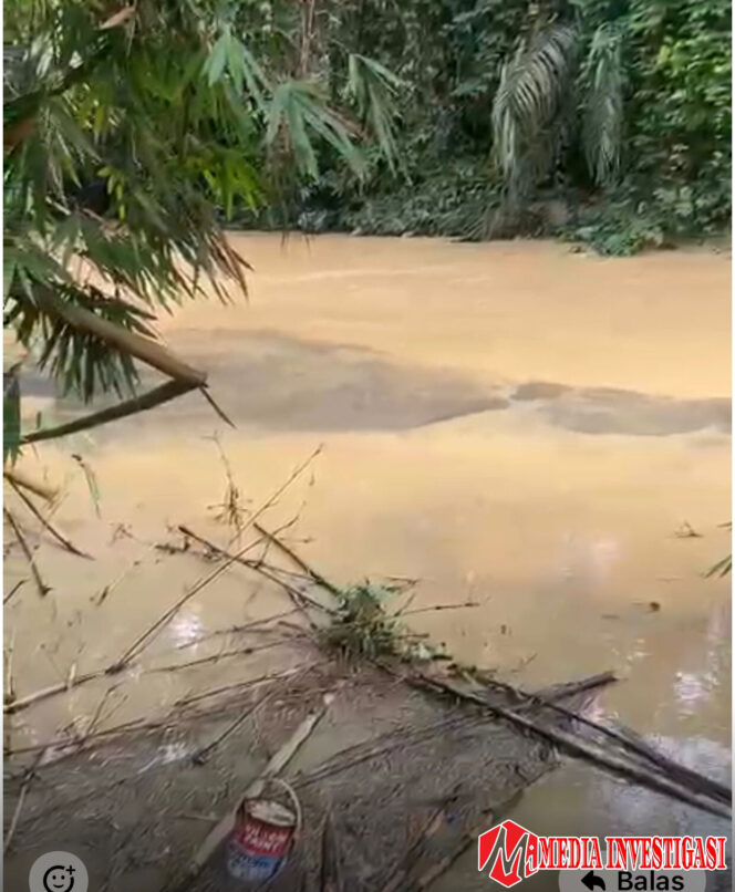 
					Penampakan Sungai Koto Balai di Kabupaten Dharmasraya, Sumatera Barat. Foto DOK IST
