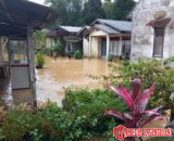 BREAKINGNEWS Sejumlah Rumah Warga Terdampak! Banjir Rendam Permukiman Warga di Jorong Benteng Sinuruik Talamau Pasaman Barat
