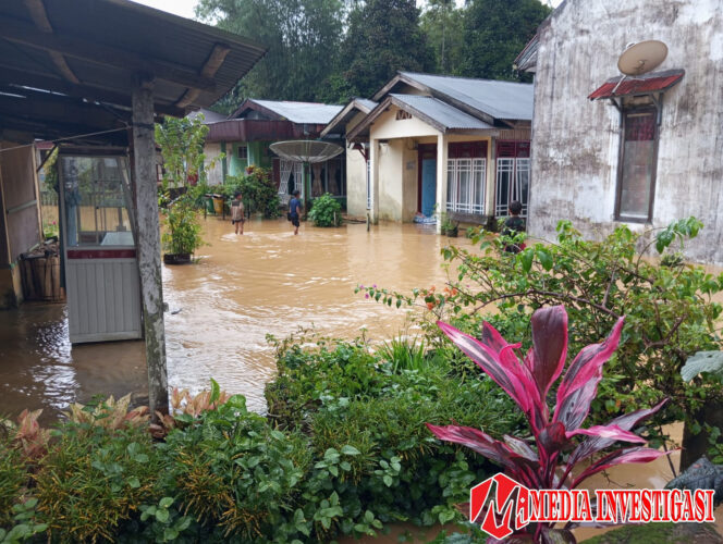 
					Banjir merendam sejumlah rumah warga, terutama di kawasan dataran rendah di wilayah Jorong Benteng, Nagari Sinuruik Talamau, Pasaman Barat, Sumatera Barat,  Rabu 31 Desember 2025.. FOTO DOK IST