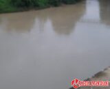 Sungai Batang Siek Menghitam dan Berbau, Warga Koto Baru Resah Diduga Tercemar Limbah Sawit PT DL