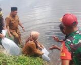 Dukung Program Ketahanan Pangan Presiden Prabowo, Nagari Sungai Dareh Tebar 50 Ribu Benih Ikan di Embung Ampang Kamang