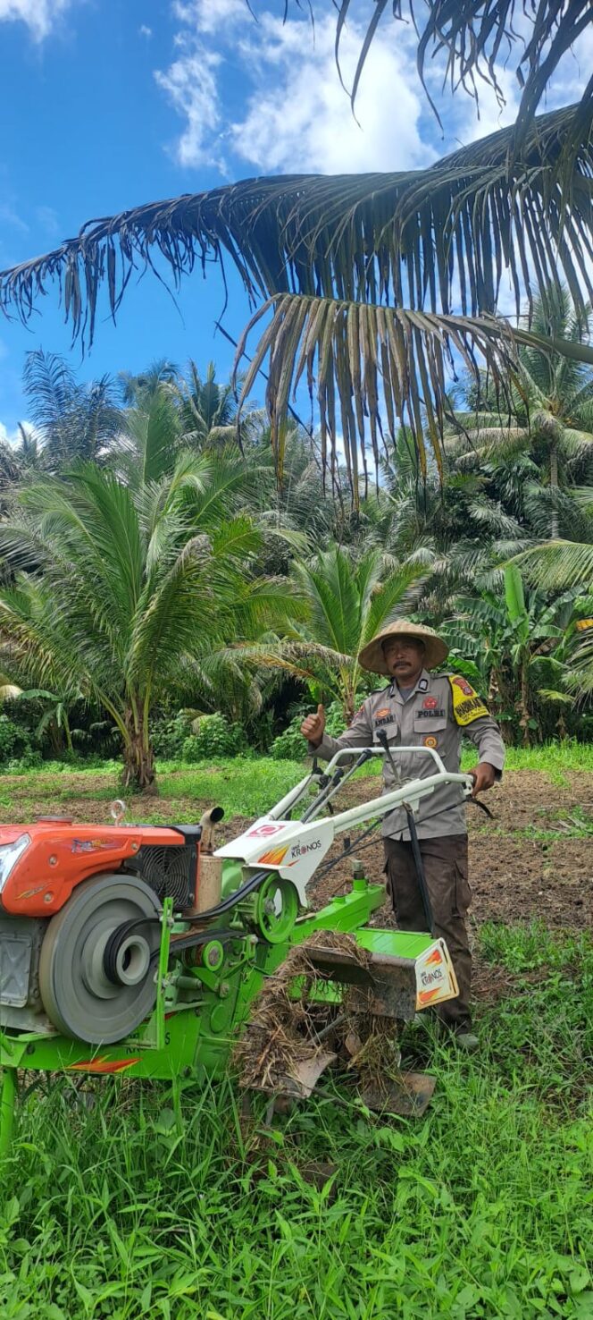 
					Polsek Tinangkung Dukung Ketahanan Pangan, Polsek Dampingi Pengolahan 1,5 Hektar Lahan Jagung Desa Tatakalai Tinangkung Utara Bangkep