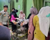 Serangan Beruang di Labuah Barulak Pasaman Barat, Tiga Petani Terluka Saat Panen Padi