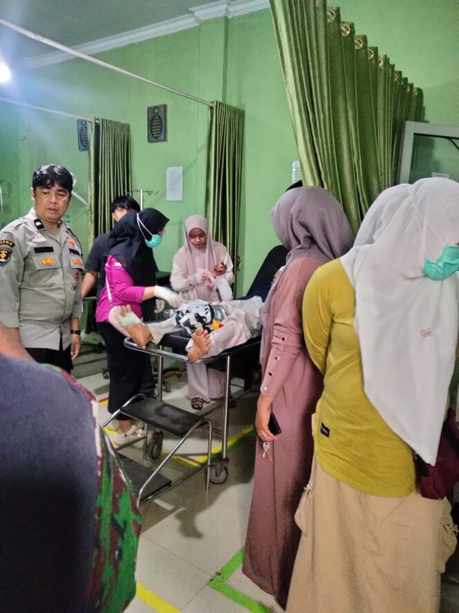 
					Serangan Beruang di Labuah Barulak Pasaman Barat, Tiga Petani Terluka Saat Panen Padi