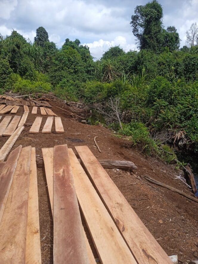
					Diduga Terorganisir, Kayu Hutan Lindung Mengalir dari Rantau Bakung Inhu, Siapa Bermain?
