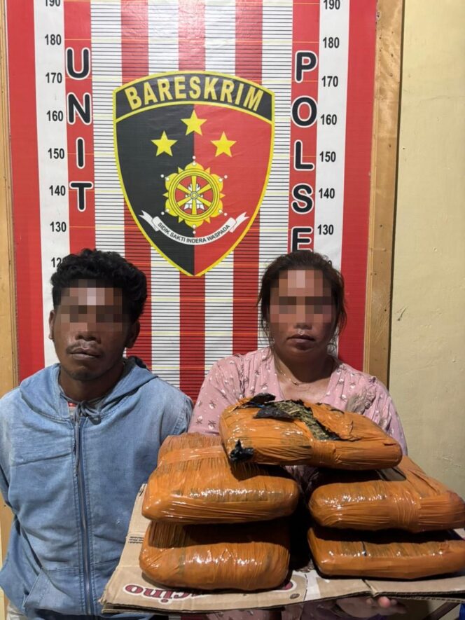 
					Polsek Barus Gagalkan Peredaran 5 Kg Ganja Asal Madina, Dua Kurir Ditangkap