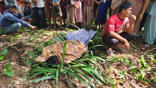 
					Warga Sikabau Geger, Pria Muda Ditemukan Gantung Diri di Kebun Karet