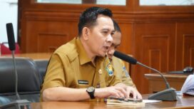 Direktur SUPD III Ditjen Bina Pembangunan Daerah Kemendagri, Fauzan Hasan. (Dok. Bina Bangda)