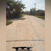Lokasi diduga tempat penambangan yang masih beroperasi. (Dok. Istimewa)