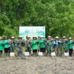 Penamaan Mangrove dalam rangka meringati HUT ke-80 Persit KCK, Kodim 0314/Inhil. (Dok. Istimewa)