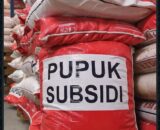 Warga belitang jaya kecewa terkait pupuk subsidi tidak sesuai harapan, pemerintah pusat harus tahu ini