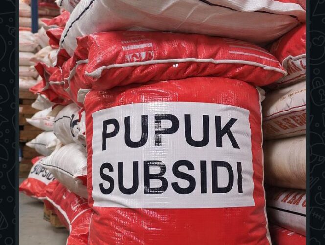 
					Warga belitang jaya kecewa terkait pupuk subsidi tidak sesuai harapan, pemerintah pusat harus tahu ini
