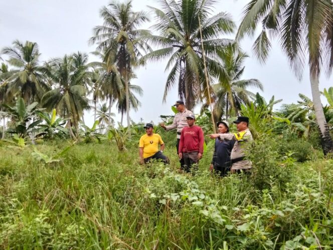
					Polsek Tembilahan Hulu Cek Kesiapan Lahan Jagung di Desa Pekan Kamis, Dukung Swasembada Pangan Nasional