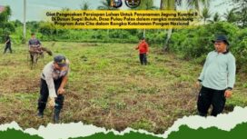 Polsek Tembilahan Hulu ketika melakukan peninjauan dan terjun langsung mengecek kesiapan ketahanan pangan. (Dok. Istimewa)