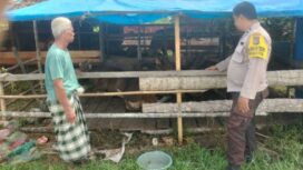Polsek Sungai Batang melalui Bhabinkamtibmas Desa Benteng Barat ketika mengecek kesiapan Asta Cita Ketahanan Pangan. (Dok. Istimewa)