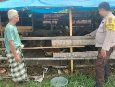 Polsek Sungai Batang melalui Bhabinkamtibmas Desa Benteng Barat ketika mengecek kesiapan Asta Cita Ketahanan Pangan. (Dok. Istimewa)