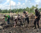 Polsek Sungai Batang Nandur Jagung Bersama Kelompok Tani Dukung Swasembada Pangan 2026