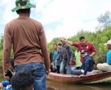 Diduga Garap Hutan Mangrove Jadi Sawit, PT RSA dan Kades Batang Sari Intervensi Mitra Kerja PT Agrinas Palma Nusantara