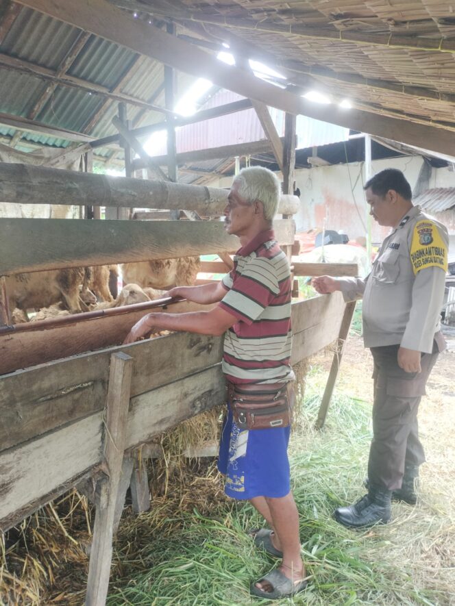 
					Bhabinkamtibmas Polsek Sungai Batang Masuk Kandang Domba, Pantau Ketahanan Pangan Warga Jelang Idul Adha